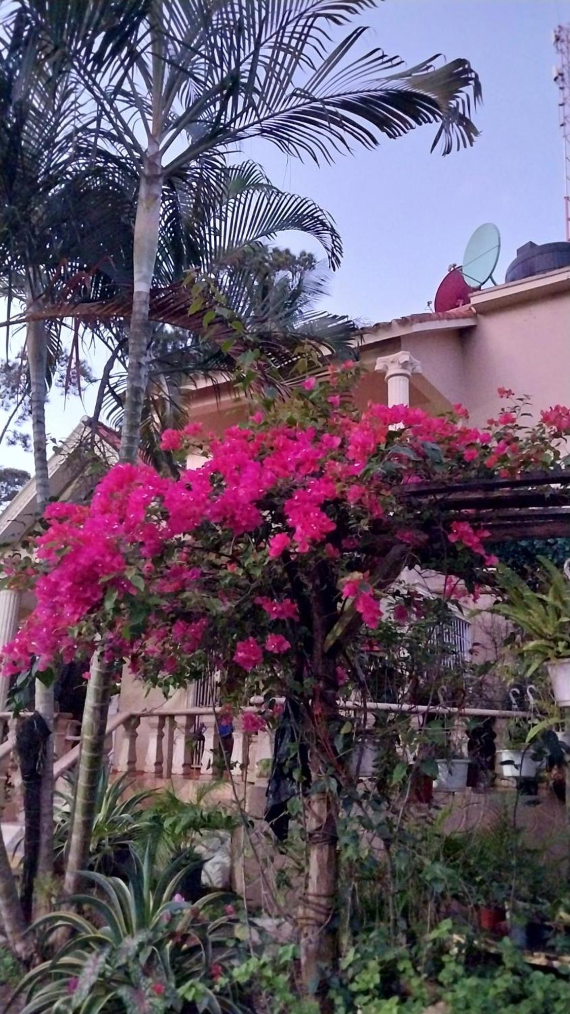 La Famosa Costillas A La Lena Jarabacoa Buitenkant foto
