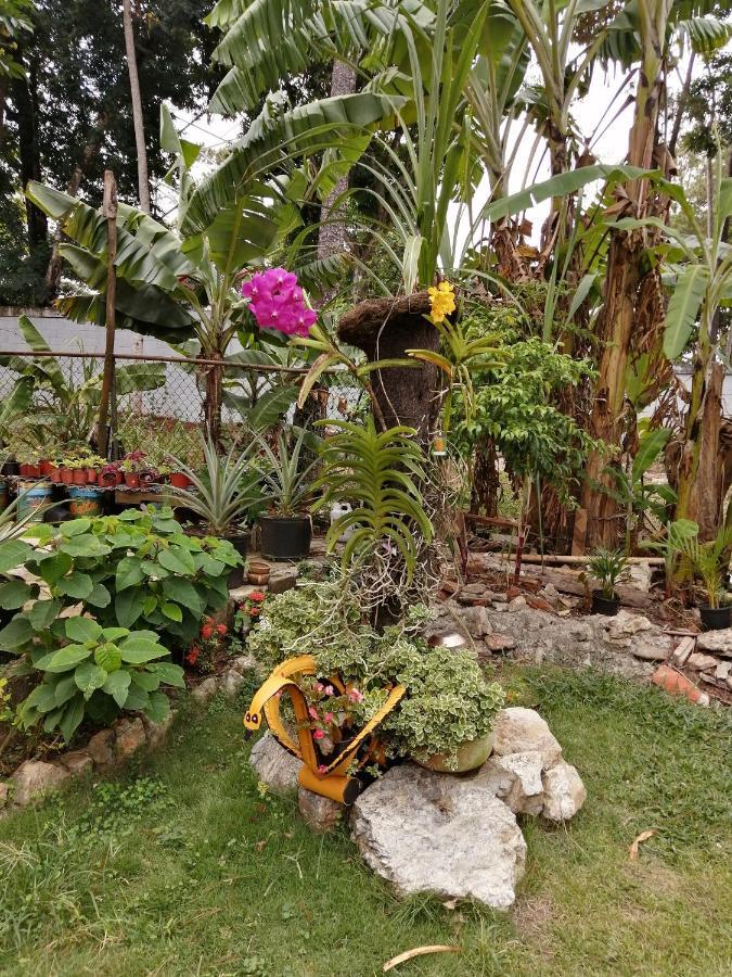 La Famosa Costillas A La Lena Jarabacoa Buitenkant foto